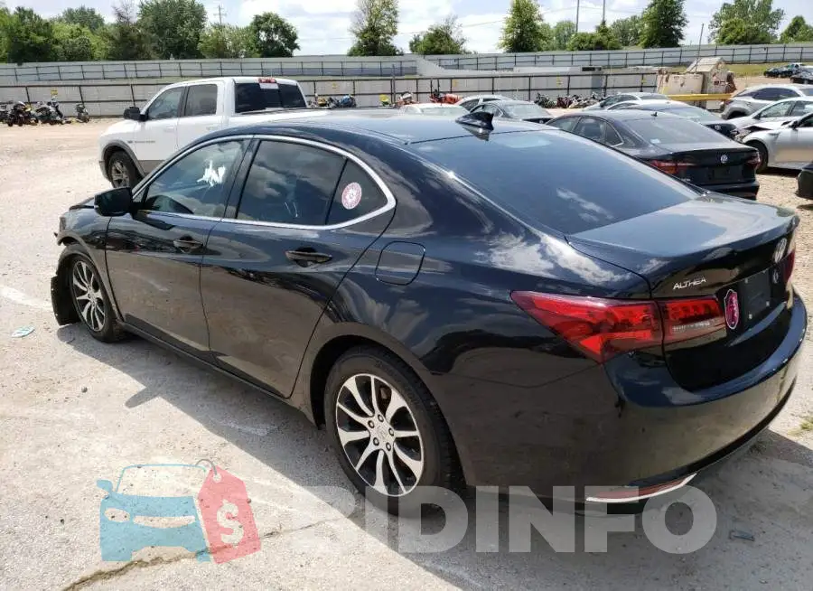 19UUB1F51FA006172 Photo# 2