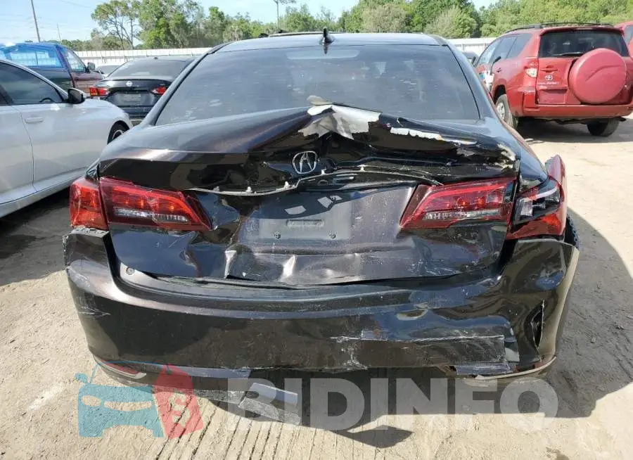 19UUB1F56FA005017 Photo# 6