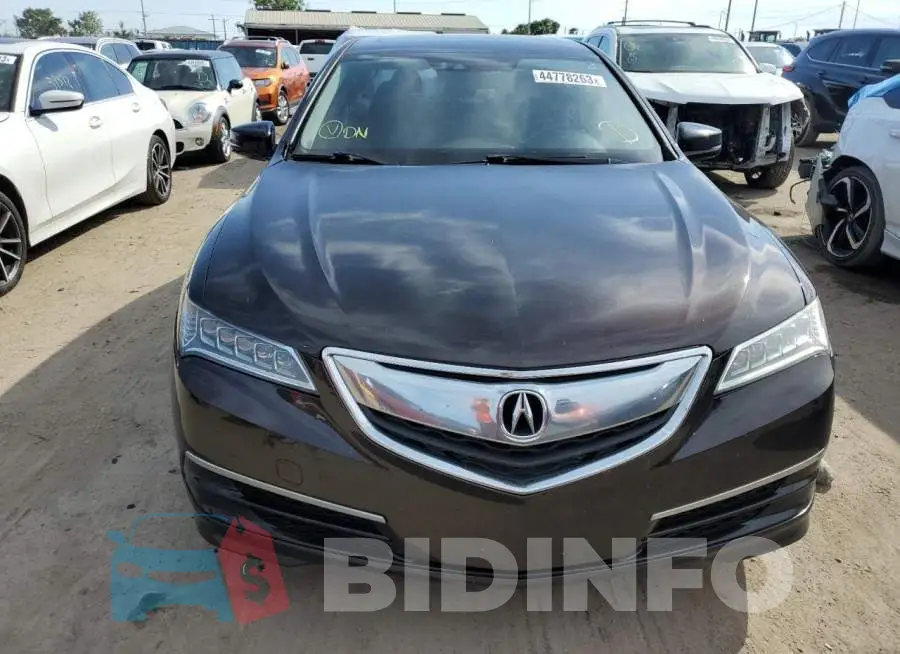 19UUB1F56FA005017 Photo# 5