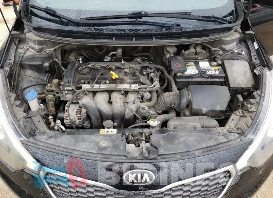 KNAFK4A66E5131441 Photo# 11