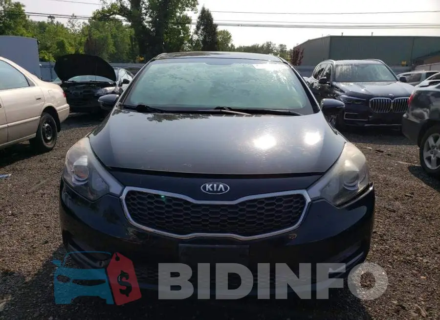 KNAFX4A61F5412842 Photo# 5