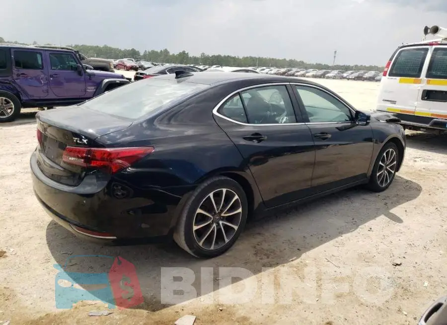 19UUB1F38FA011142 Photo# 3