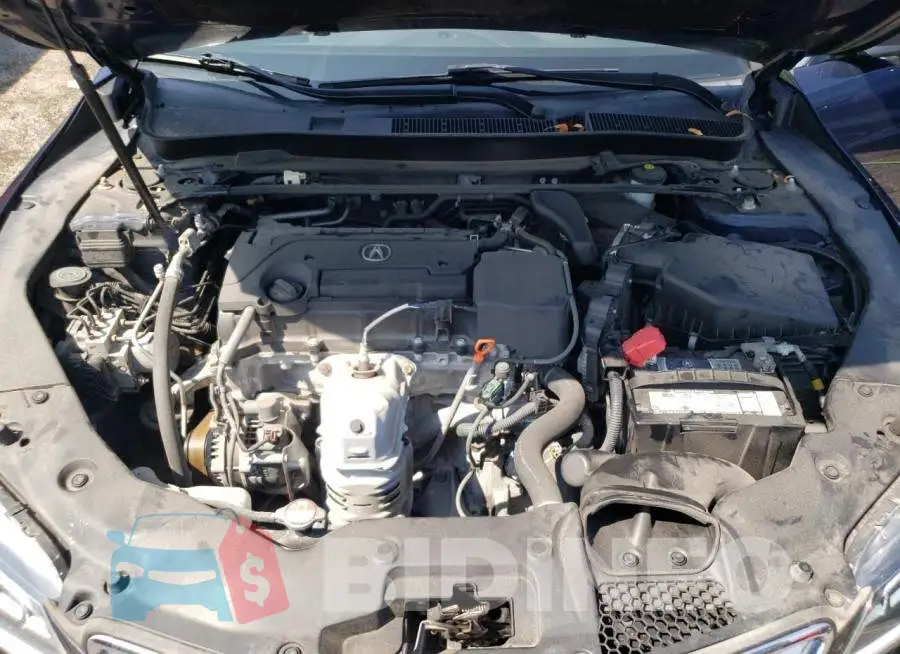19UUB1F53HA800271 Photo# 11