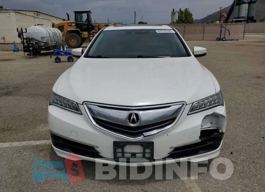 19UUB1F56FA020441 Photo# 5