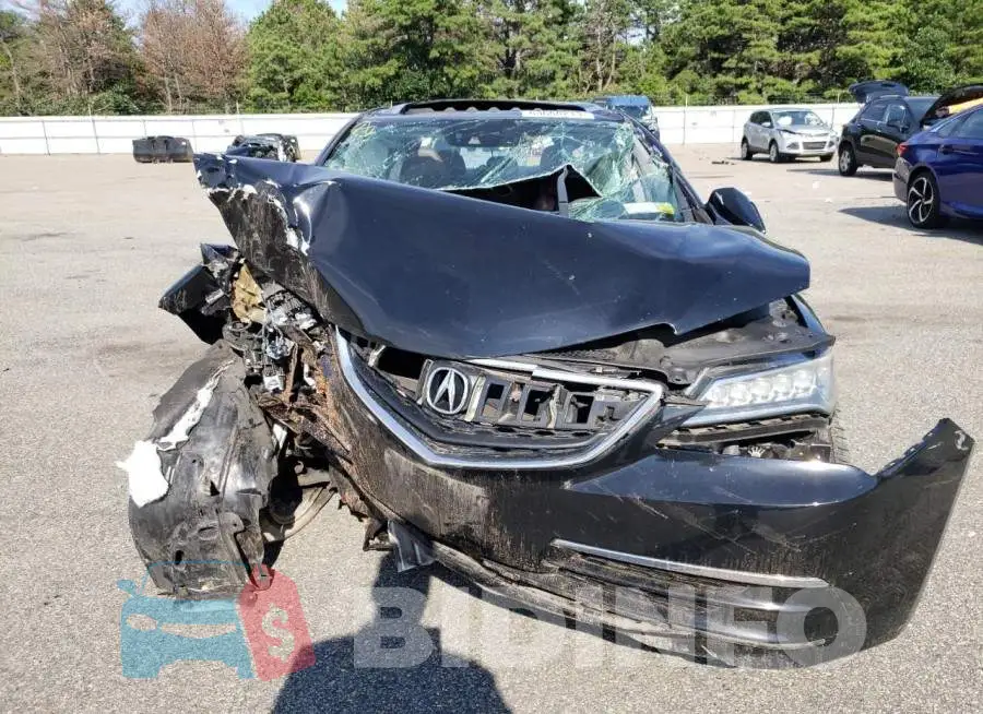 19UUB2F53FA017292 Photo# 5