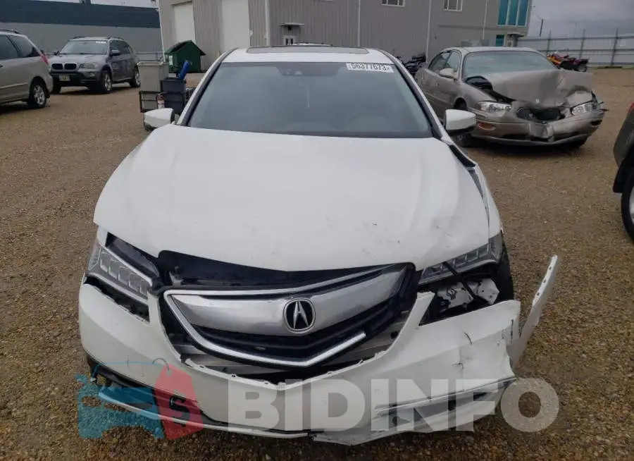 19UUB2F57FA800552 Photo# 5
