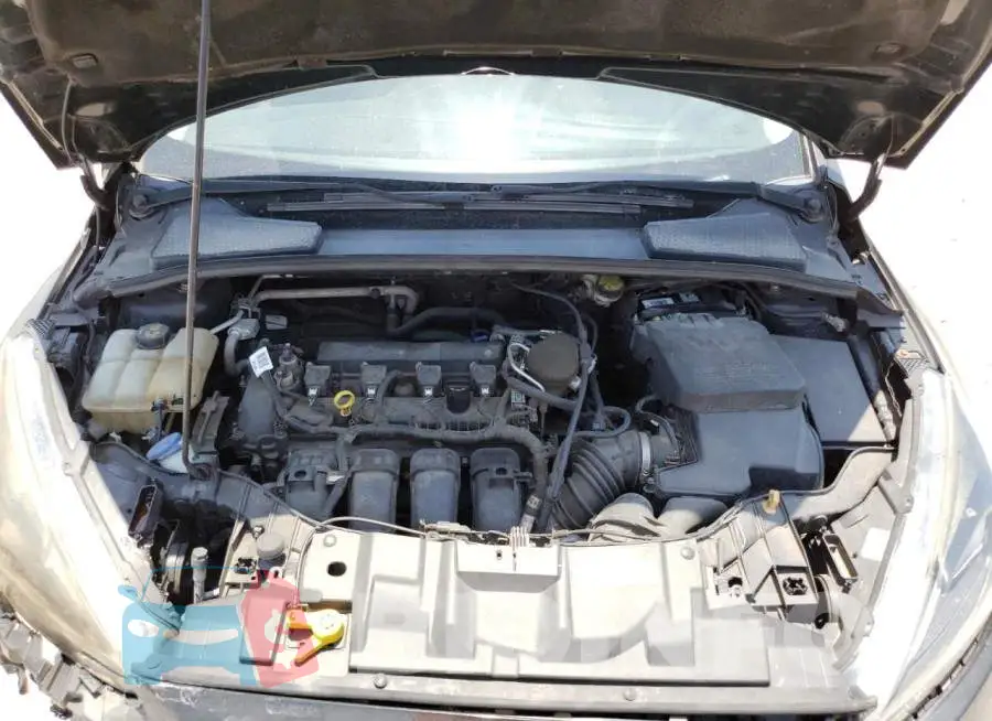 1FADP3K23FL219836 Photo# 11