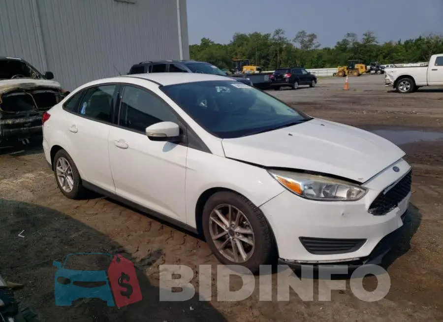 1FADP3F21HL262441 Photo# 4