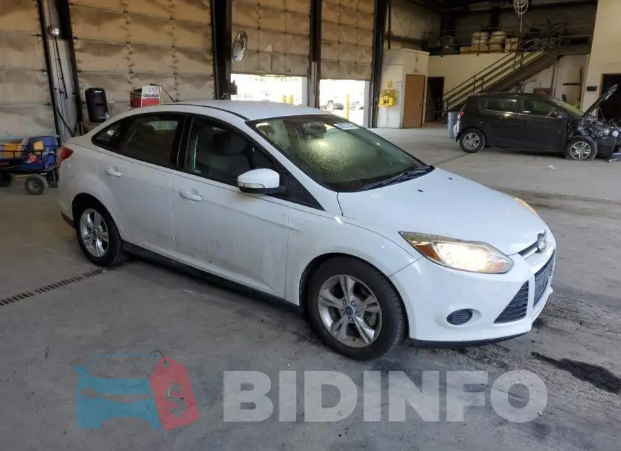 1FADP3F25EL371531 Photo# 4