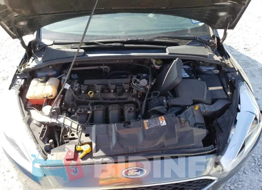 1FADP3K22GL360947 Photo# 11