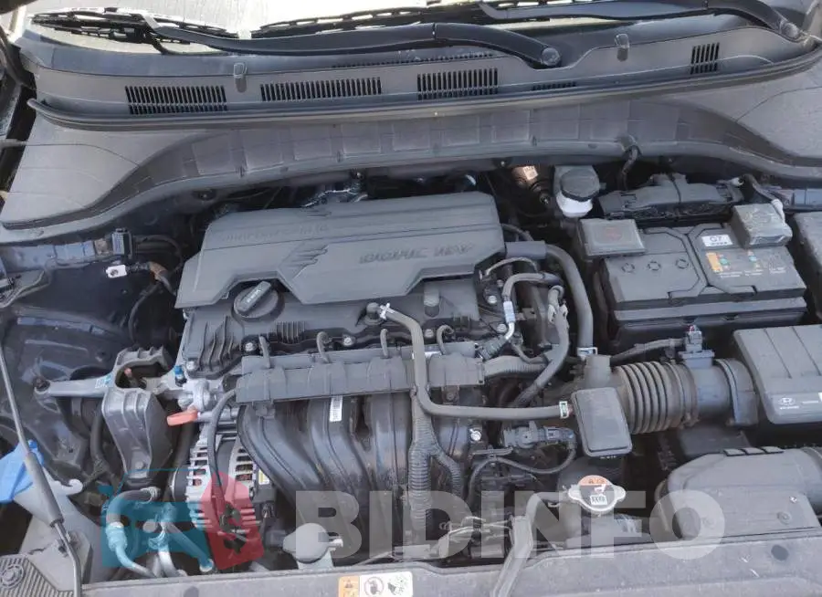 KM8K62AB5PU967592 Photo# 12