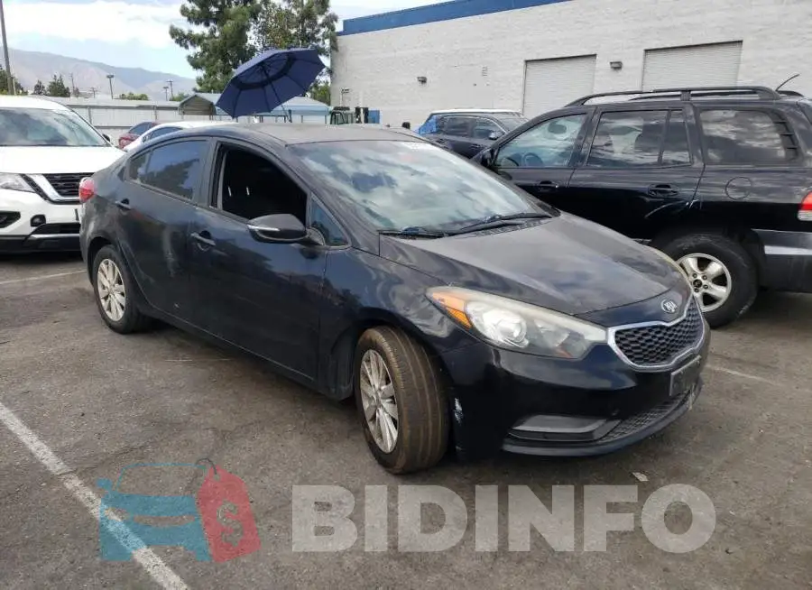 KNAFX4A68E5241117 Photo# 4