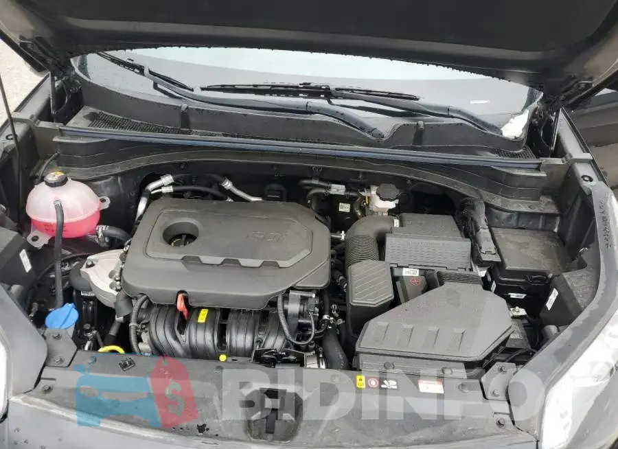 KNDP6CAC2M7916182 Photo# 12