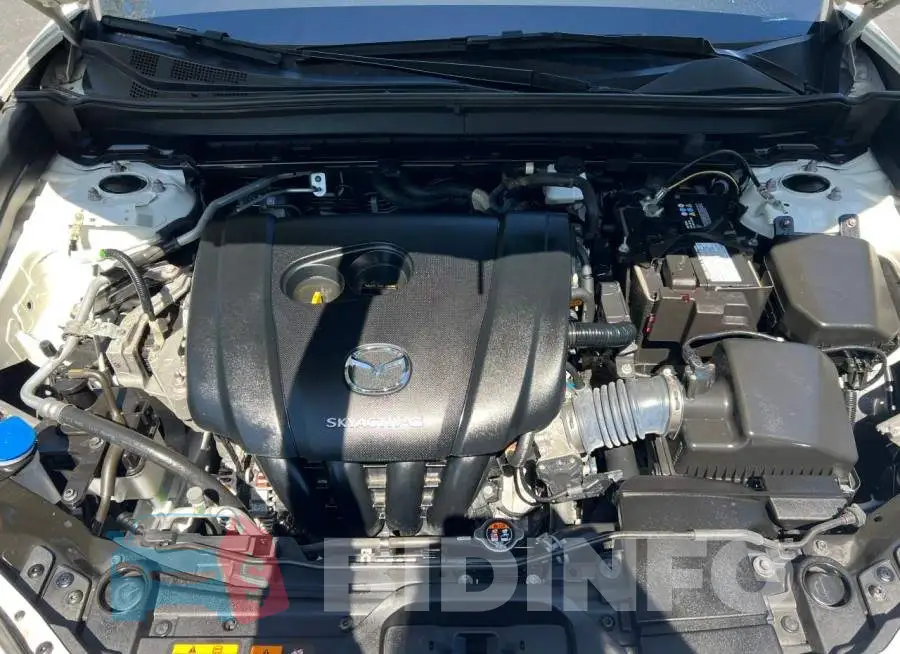 3MVDMBCL7LM111491 Photo# 7
