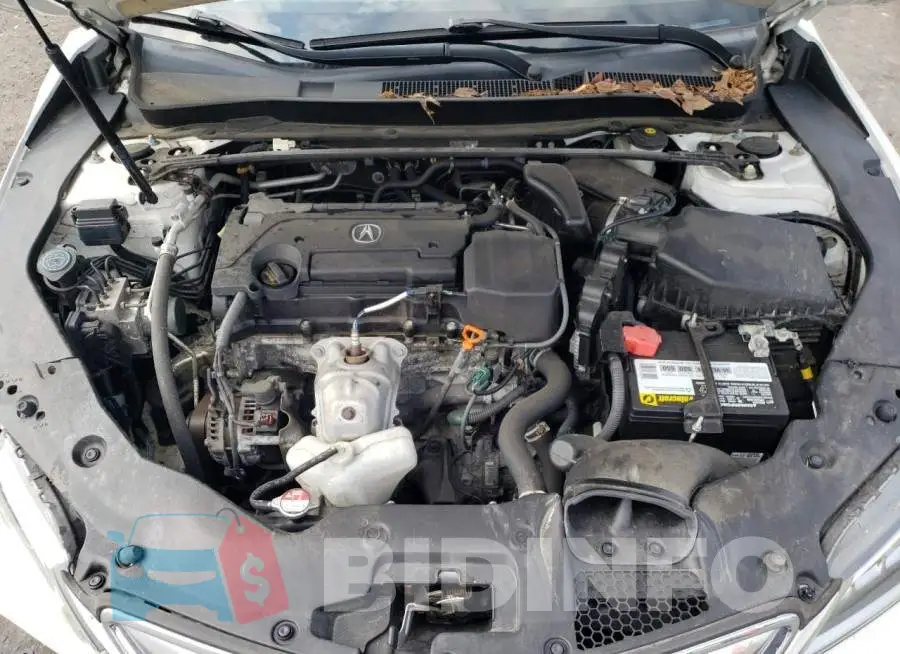 19UUB1F33HA008054 Photo# 11
