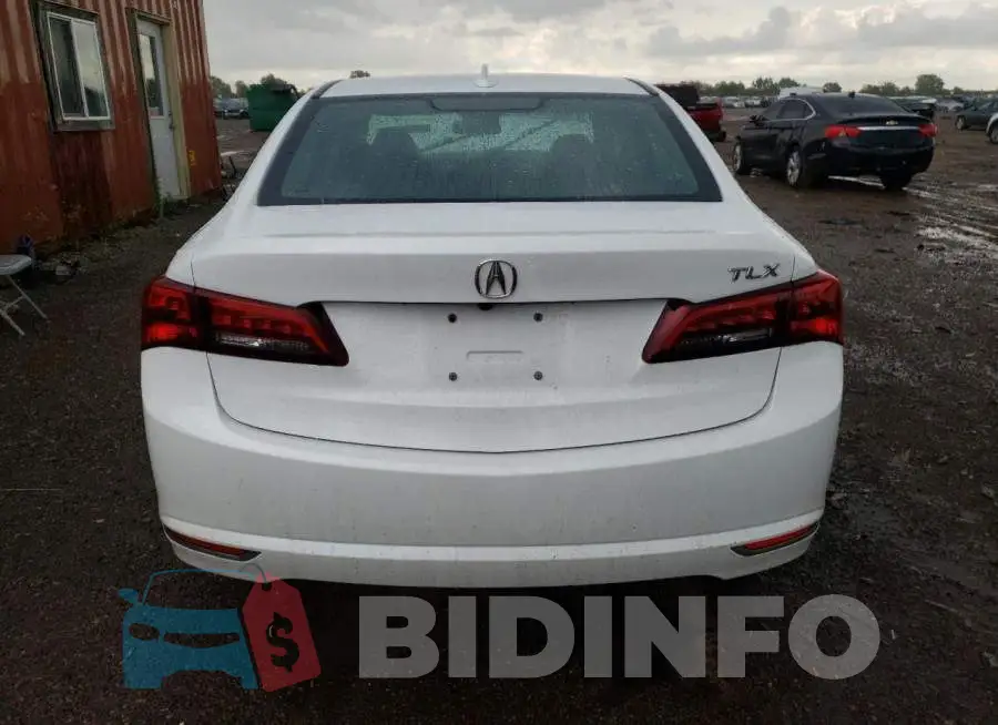 19UUB1F39FA014356 Photo# 6