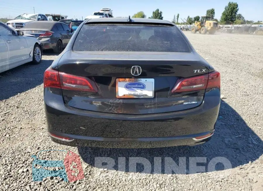 19UUB3F51FA005437 Photo# 6