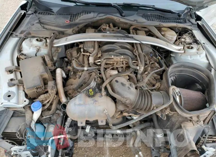 1FA6P8R06M5550812 Photo# 11