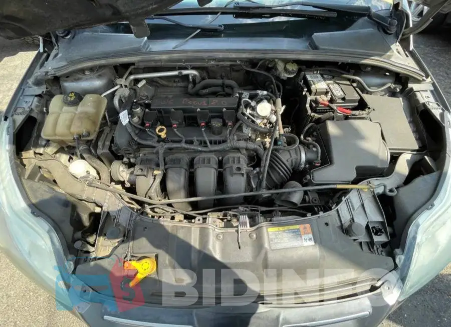1FADP3F29EL210518 Photo# 7