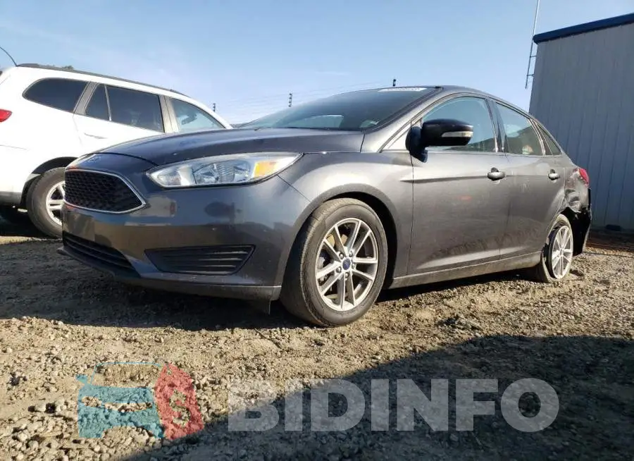 1FADP3F2XGL399781 Photo# 1