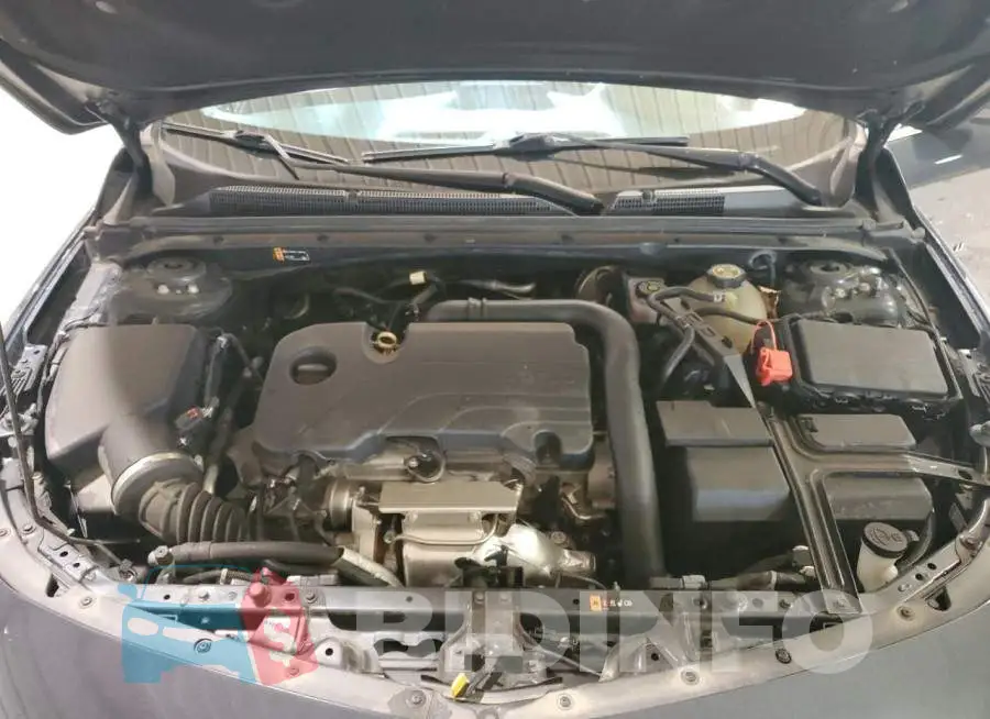 1G1ZD5ST8MF065237 Photo# 11