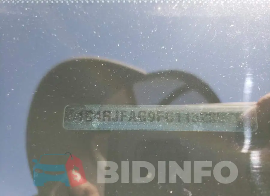 1C4RJFAG9FC115285 Photo# 13