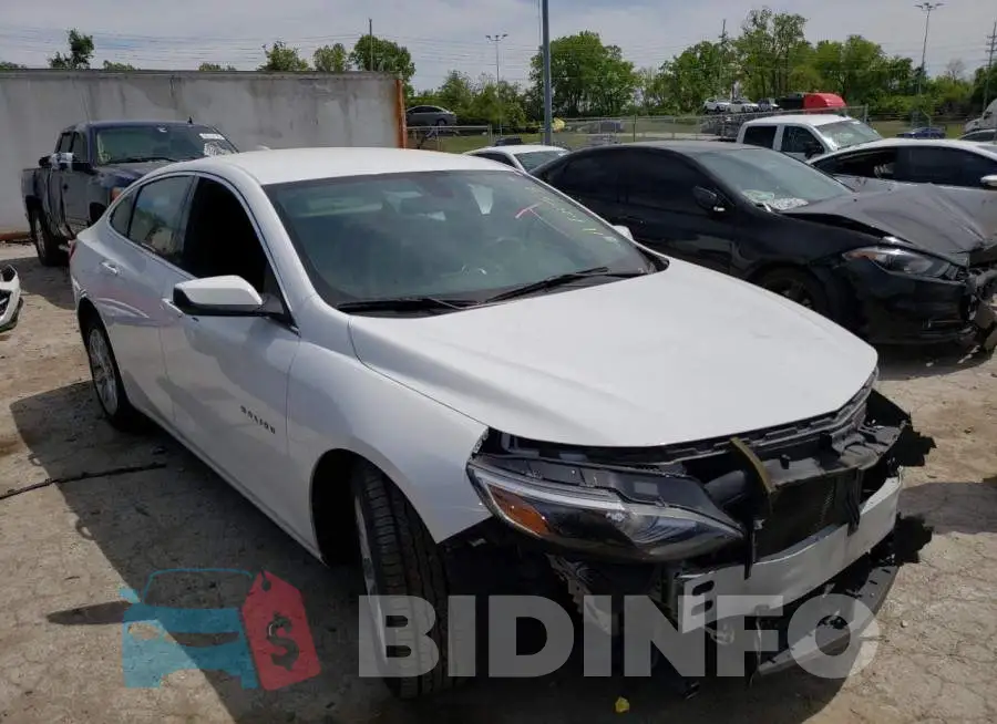 1G1ZD5ST1LF033874 Photo# 4