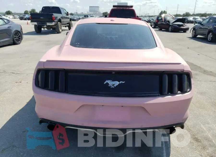 1FA6P8TH1F5351572 Photo# 6