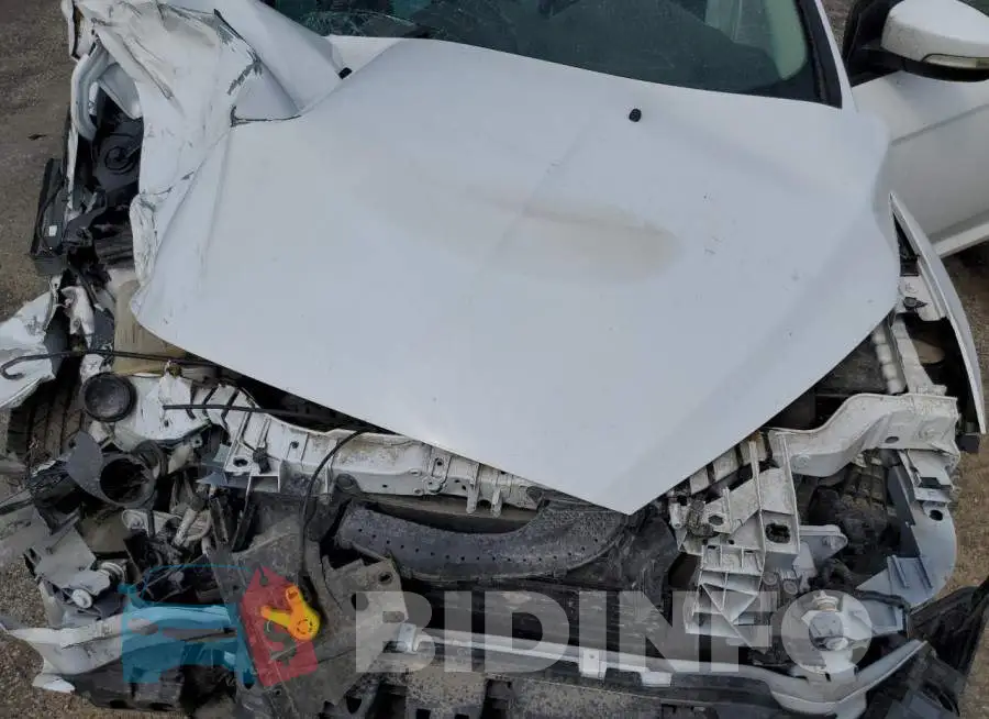 1FADP3F24GL326843 Photo# 11