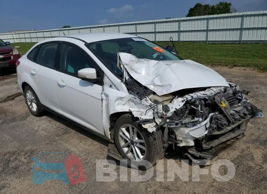 1FADP3F24GL326843 Photo# 4