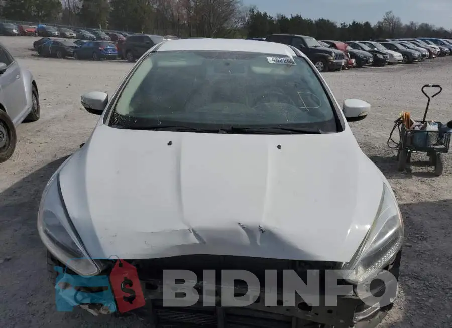 1FADP3F24GL406563 Photo# 5