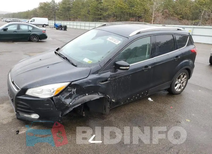 1FMCU0J96GUB85507 Photo# 1