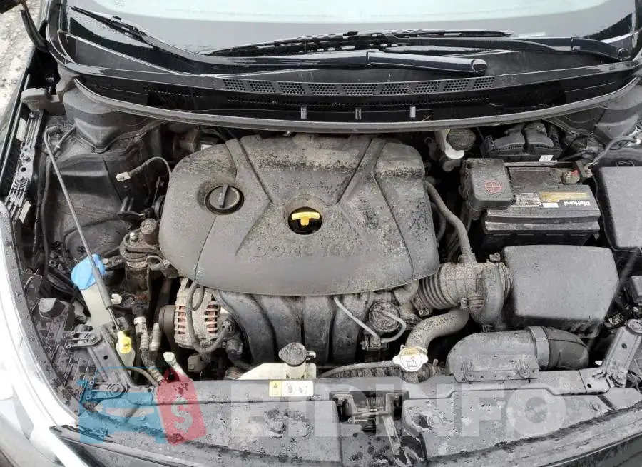 KNAFX4A69G5559282 Photo# 11