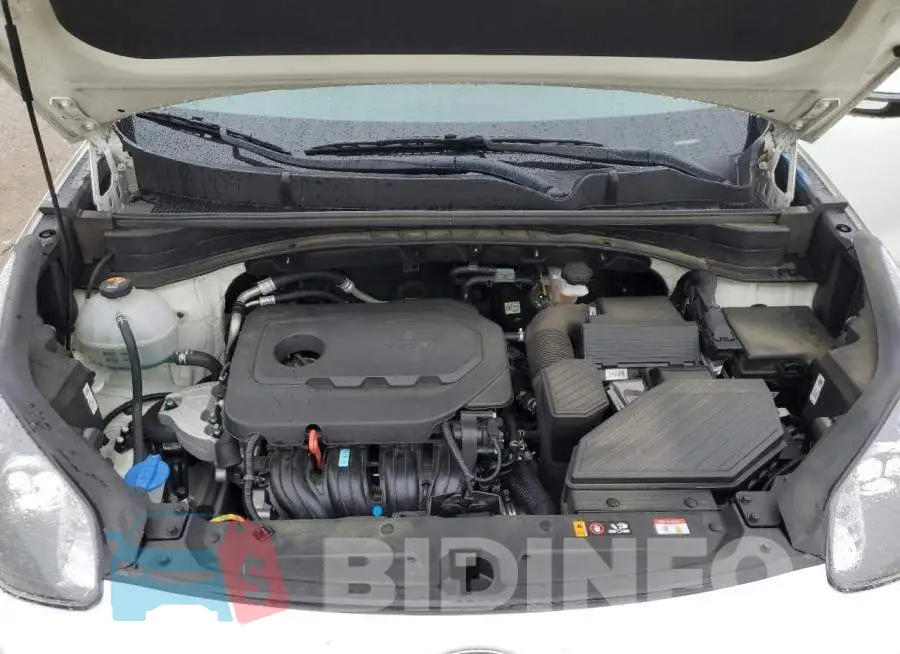 KNDPN3AC8M7855827 Photo# 11
