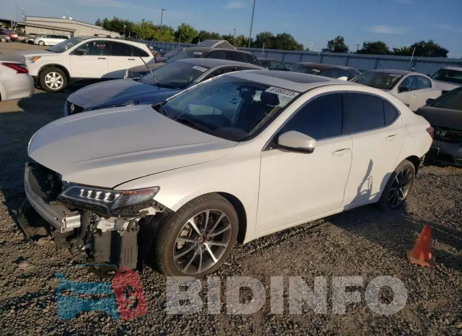 19UUB2F33GA012500 Photo# 1