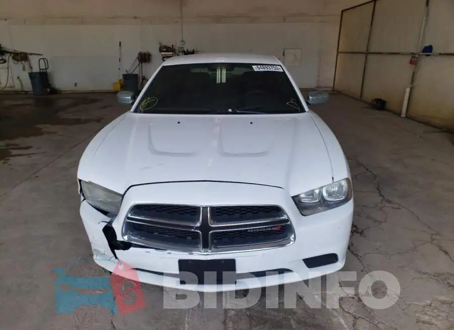 2C3CDXBG3EH171689 Photo# 5