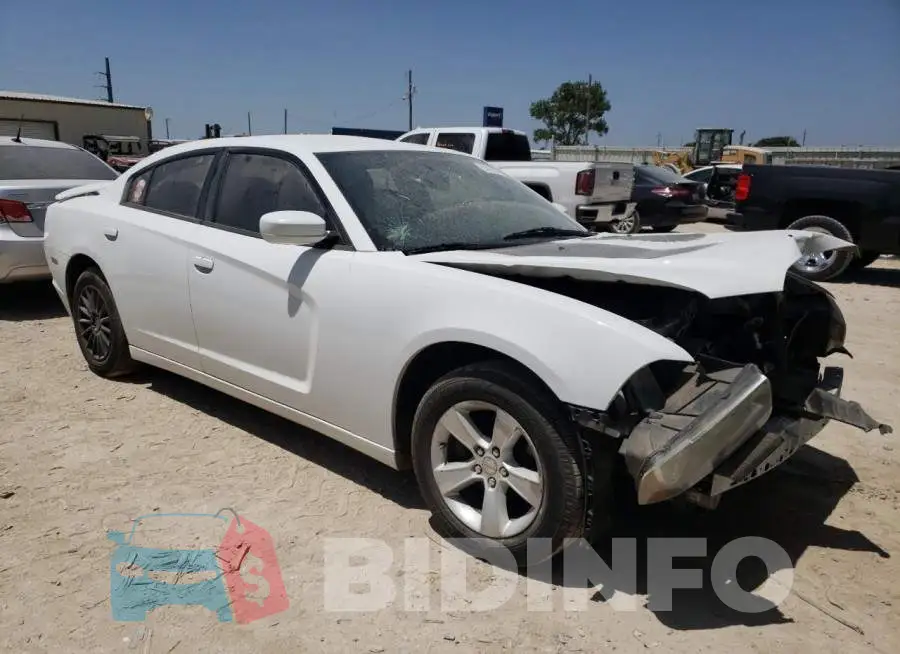 2C3CDXBG8EH271920 Photo# 4