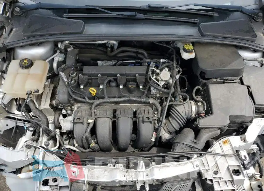 1FADP3N29HL309751 Photo# 11