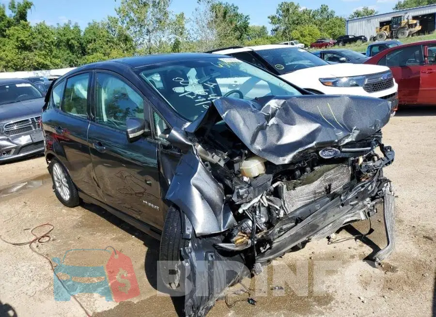 1FADP5AU3GL108333 Photo# 4