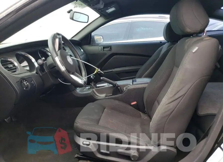 1ZVBP8CFXE5296669 Photo# 7