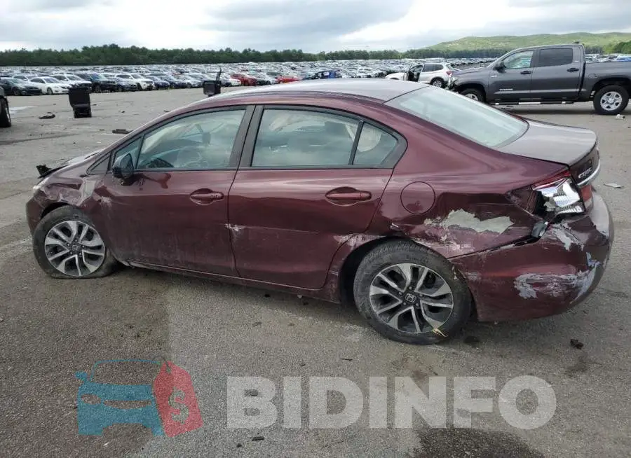 19XFB2F82FE255374 Photo# 2