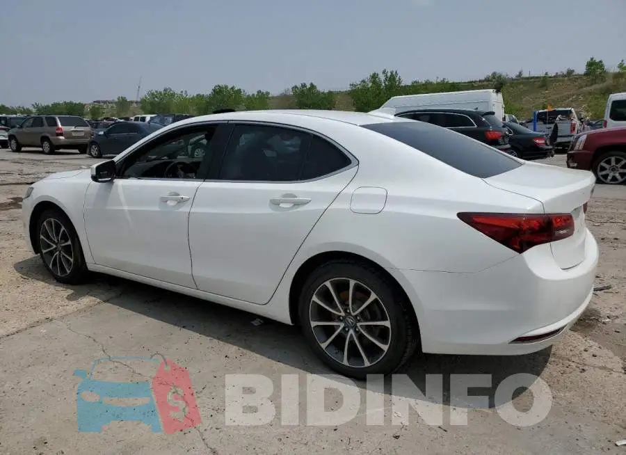 19UUB3F56FA003036 Photo# 2