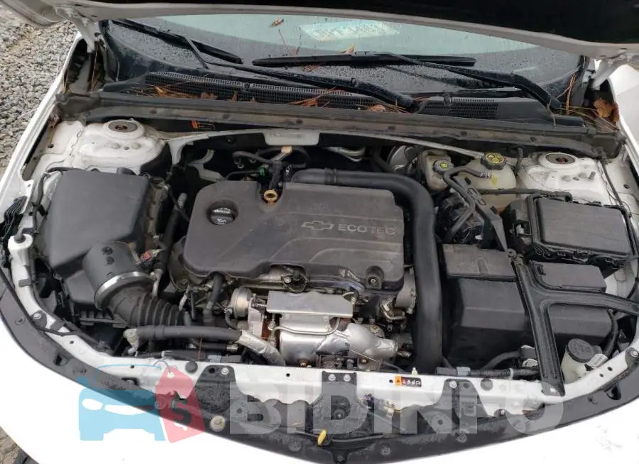 1G1ZD5ST2JF135536 Photo# 11