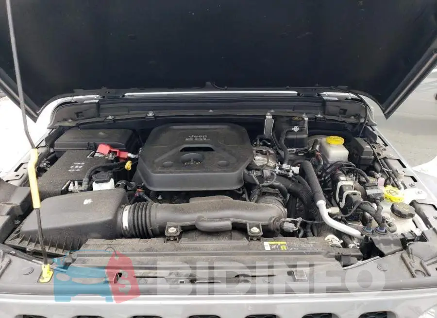 1C4HJXDN6JW205822 Photo# 11