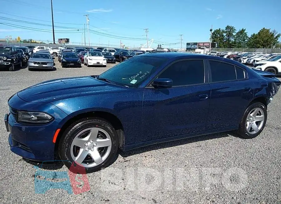 2C3CDXAT8MH647545 Photo# 14