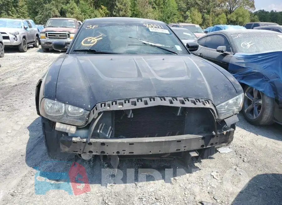 2C3CDXBG1EH362821 Photo# 5