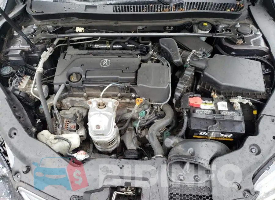 19UUB1F55FA003307 Photo# 11