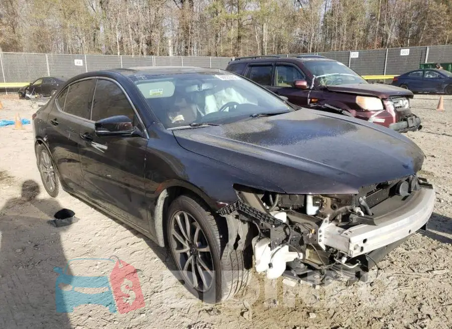 19UUB2F31HA007040 Photo# 1