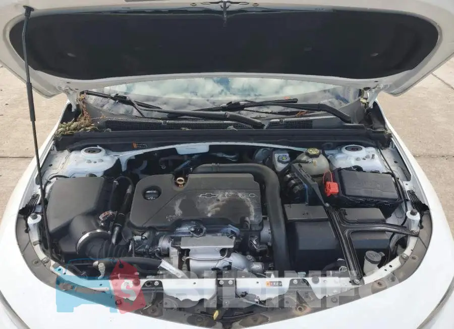 1G1ZB5ST9HF185768 Photo# 11
