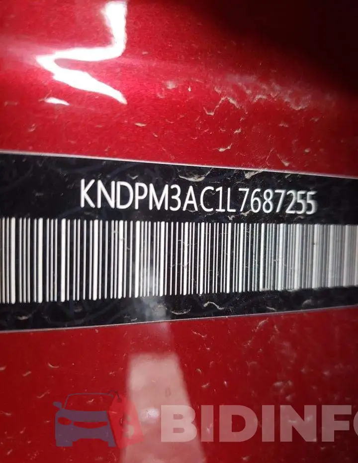KNDPM3AC1L7687255 Photo# 12